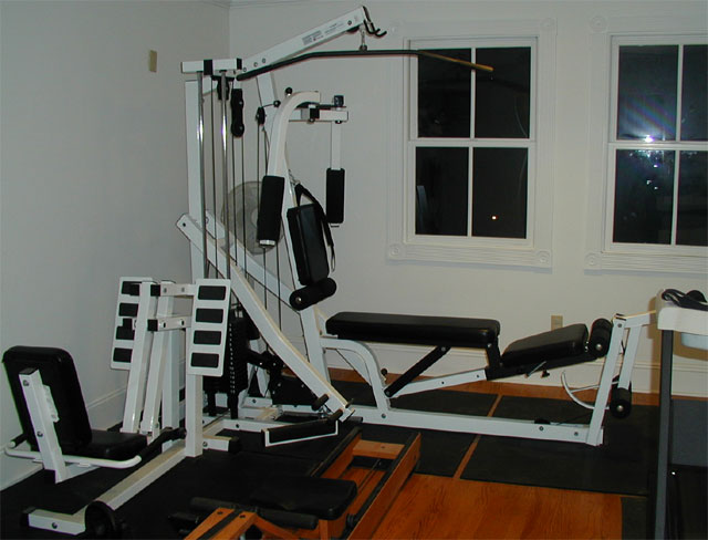 ParaBody 400